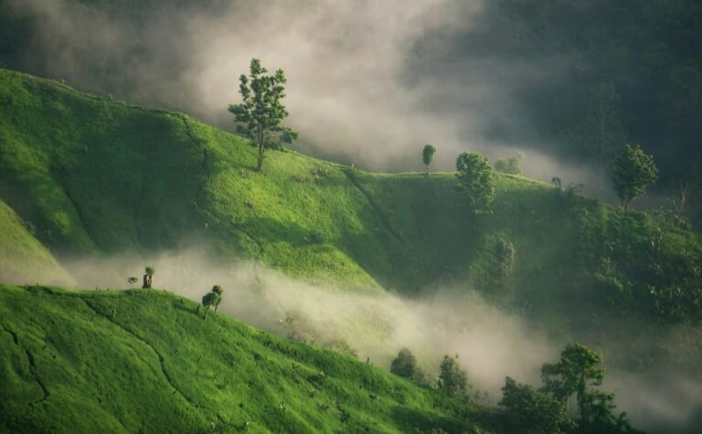 Bandarban Tourist Spots: Exploring the Beauty of Bangladesh’s Hill District